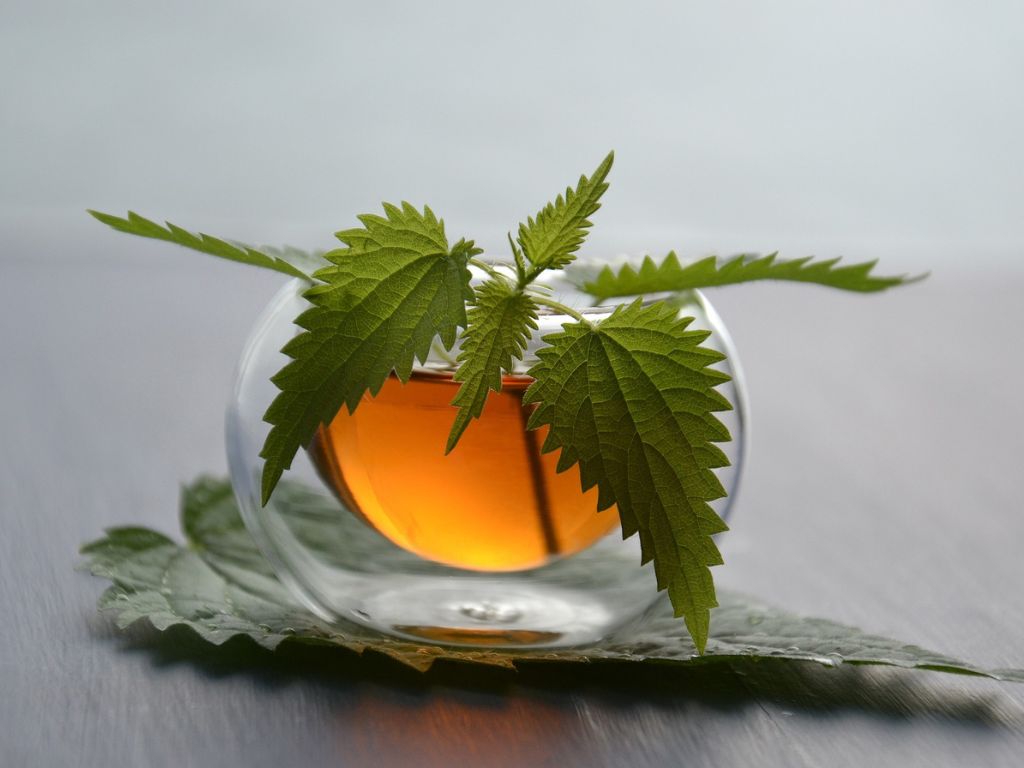 cbd-produkty-cbd-caje-cbd-cajove-smesi-cbd-caj-09